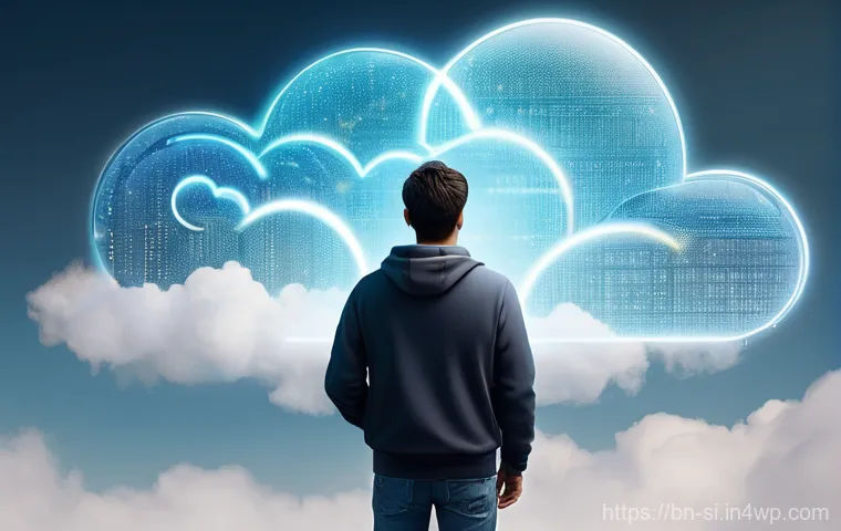 DID와 클라우드 기반의 신원 관리 시스템 - **Prompt:** A split image, depicting a stark contrast between two scenarios. On the left side, a fru...